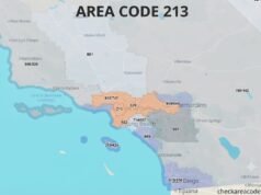 213 Area Code